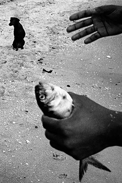 Esposizione di fotografia Présence Animale