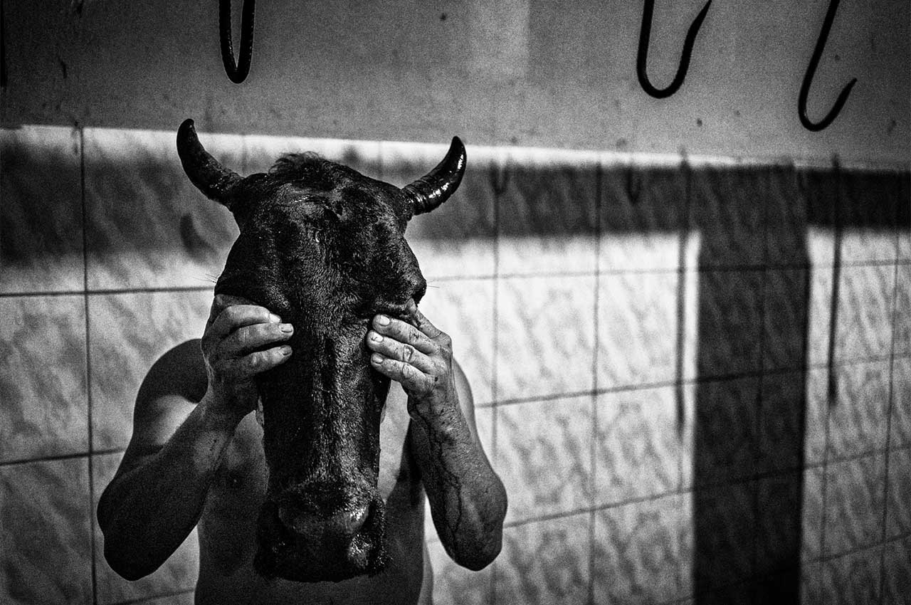 Canindè reportage